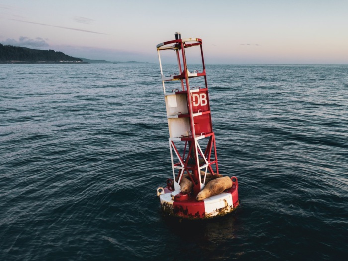 Photo: droits réservés. Photo: droits réservés.