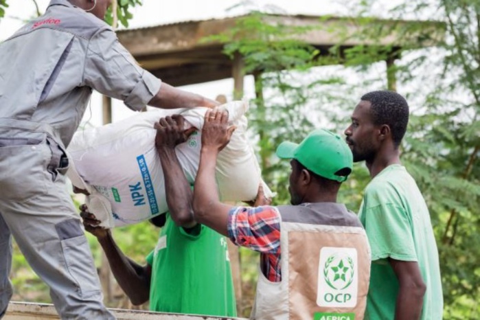 BM-Sécurité alimentaire en Afrique : Soutien étendu à 2,8 millions de personnes