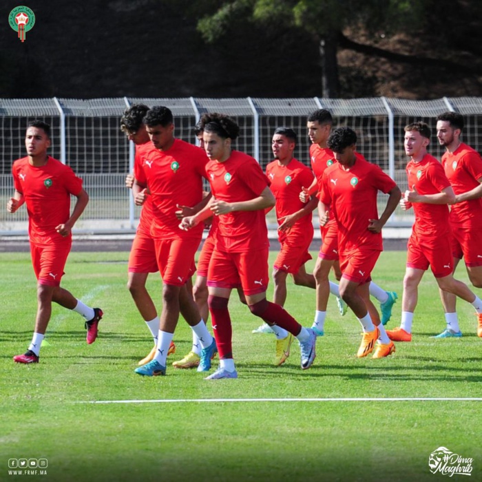 Tournoi Maurice Revello : Ce samedi, les Lionceaux U20 jouent gros! Tournoi Maurice Revello : Ce samedi, les Lionceaux U20 jouent gros!