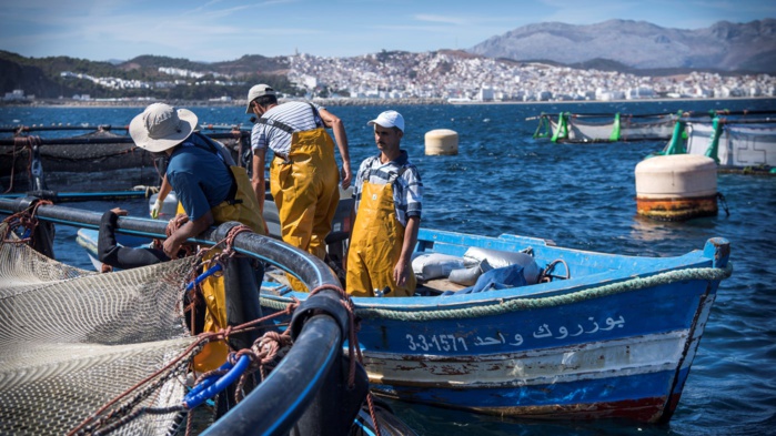 Pêche côtière et artisanale : Recul des débarquements à fin mai