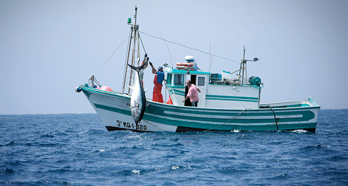 Espagne s'apprête à indemniser les pêcheurs andalous en cas de non-renouvellement de l'accord Maroc-EU Espagne s'apprête à indemniser les pêcheurs andalous en cas de non-renouvellement de l'accord Maroc-EU