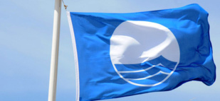 Hassan Taleb, responsable des programmes « Plages propres », « Pavillon bleu » et « Sauvegarde du littoral » au sein de la Fondation Mohammed VI pour la Protection de l’Environnement, a répondu à nos questions. Hassan Taleb, responsable des programmes « Plages propres », « Pavillon bleu » et « Sauvegarde du littoral » au sein de la Fondation Mohammed VI pour la Protection de l’Environnement, a répondu à nos questions.