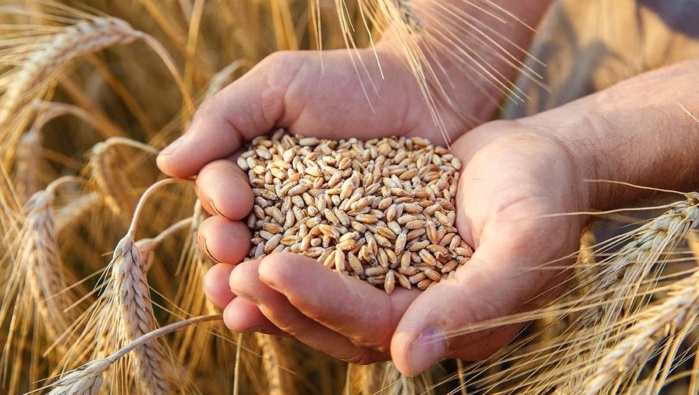 Développement agricole : Le Maroc booste sa coopération internationale