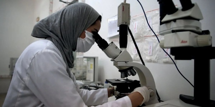 Recherche scientifique : Comment le nouveau fonds de soutien sauvera-t-il la mise ? Recherche scientifique : Comment le nouveau fonds de soutien sauvera-t-il la mise ?