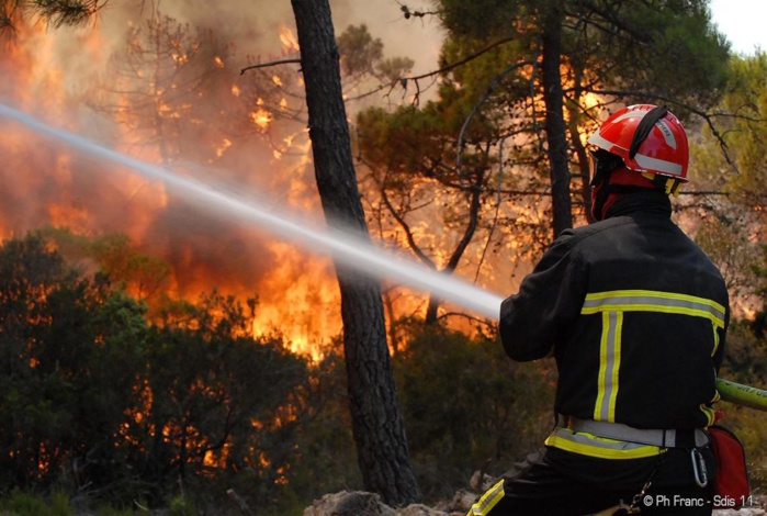 Feux de forêts : Avant-goût d’un été incendiaire [INTÉGRAL]