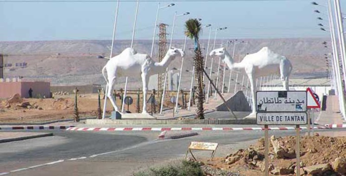 Tan-Tan : Des acteurs économiques marocains et étrangers prospectent les opportunités d'investissement Tan-Tan : Des acteurs économiques marocains et étrangers prospectent les opportunités d'investissement