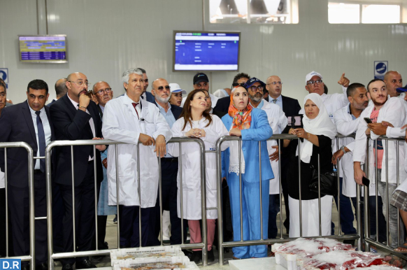 Port de Tanger / Produits de la pêche : Modernisation des circuits de distribution et de commercialisation Port de Tanger / Produits de la pêche : Modernisation des circuits de distribution et de commercialisation