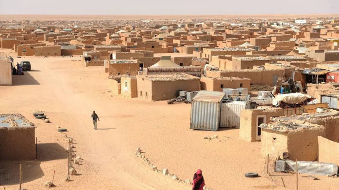 Dakhla: des chercheurs condamnent l'enrôlement militaire systématique d'enfants dans les camps de Tindouf Dakhla: des chercheurs condamnent l'enrôlement militaire systématique d'enfants dans les camps de Tindouf