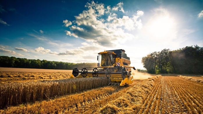 Al Moutmir : Une Révolution Agricole au Maroc
