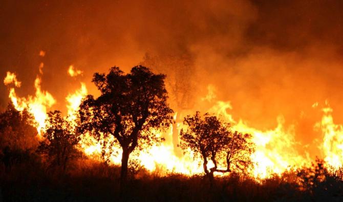 Feux de forêt : le Maroc présente officiellement ses condoléances à l'Algérie Feux de forêt : le Maroc présente officiellement ses condoléances à l'Algérie