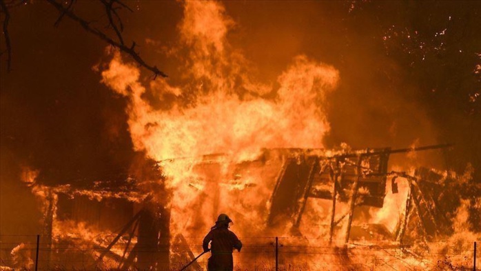 Incendies de forêts : 82 millions d’hectares partis en cendre en dix ans