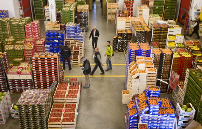 Exportations agricoles : Des résultats qui prêtent à l’optimisme, malgré les ravages de la sécheresse Exportations agricoles : Des résultats qui prêtent à l’optimisme, malgré les ravages de la sécheresse