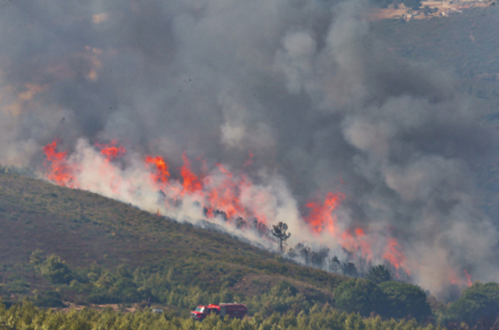 Taza : Le feu de la forêt de Maghraoua maitrisé à 75%