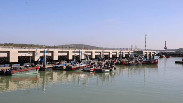 Port de Mehdia : Les débarquements de la pêche en progression de 150% à fin juillet