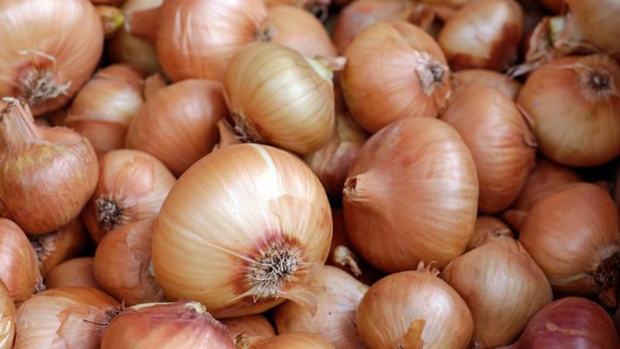 Oignons: La suspension des exportations marocaines provoque une flambée des prix au Mali