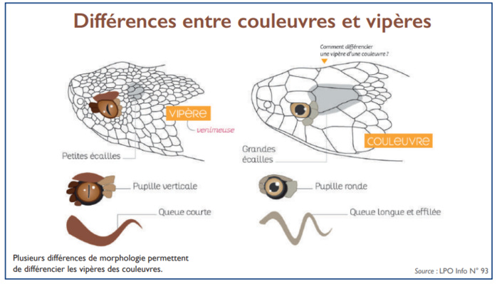 L’info...Graphie