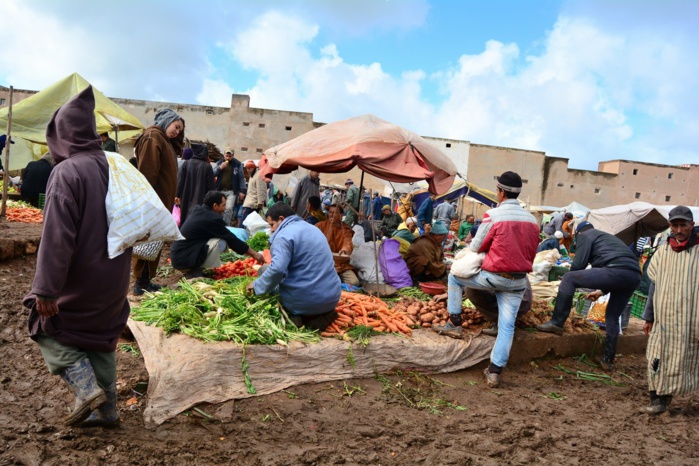 Hausse des prix des légumes, ce qu'en disent les vendeurs… Hausse des prix des légumes, ce qu'en disent les vendeurs…