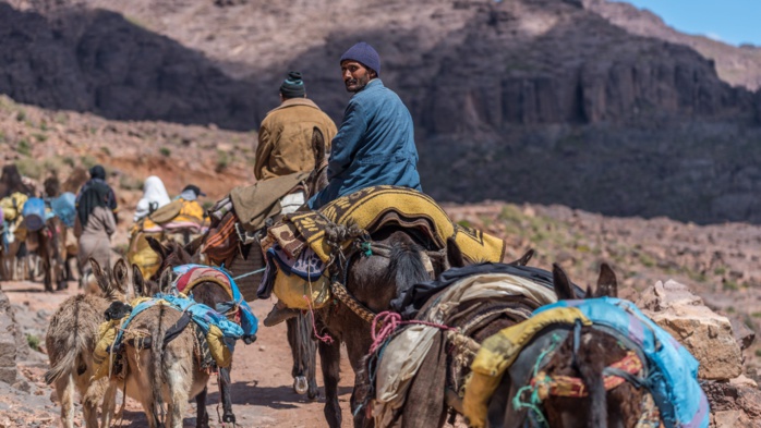 Séisme d'Al-Haouz : Mansouri pour la préservation de la culture montagnarde lors des travaux de réhabilitation Séisme d'Al-Haouz : Mansouri pour la préservation de la culture montagnarde lors des travaux de réhabilitation