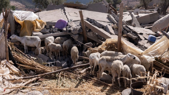 Crédits : Getty Images Crédits : Getty Images