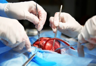 Rétro-Verso : Il y a 28 ans, la première transplantation cardiaque 100% marocaine Rétro-Verso : Il y a 28 ans, la première transplantation cardiaque 100% marocaine