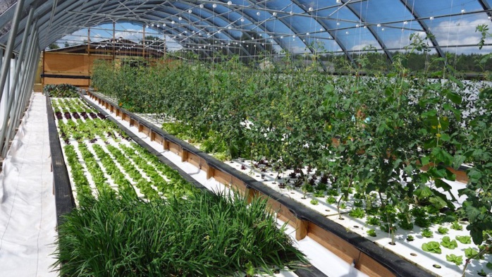 Maroc-Israël : Signature d'un mémorandum d'entente dans le domaine de l’aquaponie Maroc-Israël : Signature d'un mémorandum d'entente dans le domaine de l’aquaponie