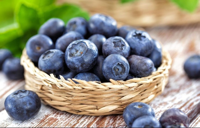 Myrtilles : Le Maroc vise à devenir un exportateur majeur sur le marché international Myrtilles : Le Maroc vise à devenir un exportateur majeur sur le marché international