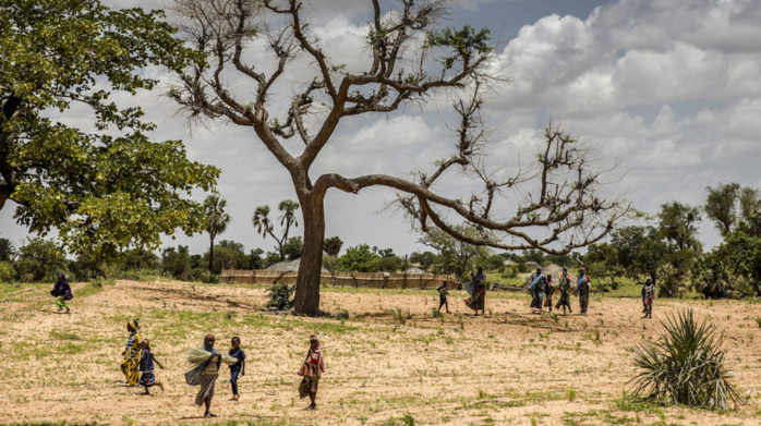 Financement climatique et croissance verte en Afrique : Renforcer la résilience des Etats face aux chocs Financement climatique et croissance verte en Afrique : Renforcer la résilience des Etats face aux chocs
