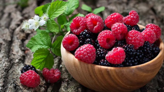 Exportations marocaines de framboises vers l'Espagne: volume record, revenus en baisse