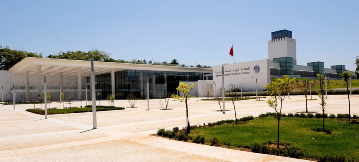 Séisme : La Bibliothèque nationale du Royaume distribue 7000 livres aux enfants sinistrés Séisme : La Bibliothèque nationale du Royaume distribue 7000 livres aux enfants sinistrés