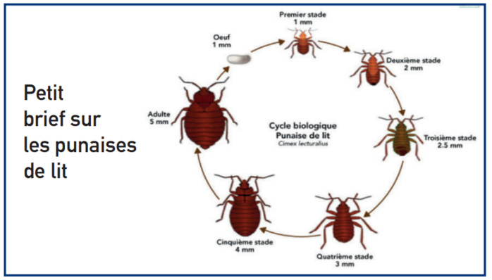 L’info...Graphie L’info...Graphie