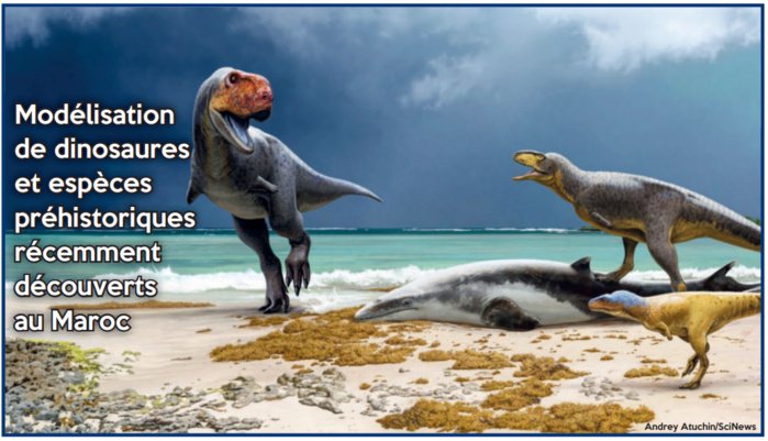 Patrimoine géologique : Paradis paléontologique en manque de musées d’histoire naturelle Patrimoine géologique : Paradis paléontologique en manque de musées d’histoire naturelle