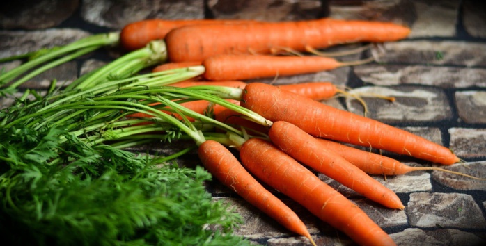 Carottes : Les exportations marocaines vers l’Espagne en plein essor 