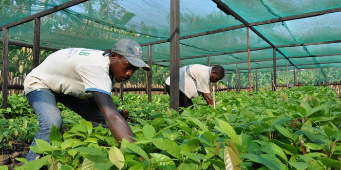 Assemblées annuelles du groupe de la BM-FMI à Marrakech : Le Maroc, porte-étendard de l’économie africaine Assemblées annuelles du groupe de la BM-FMI à Marrakech : Le Maroc, porte-étendard de l’économie africaine
