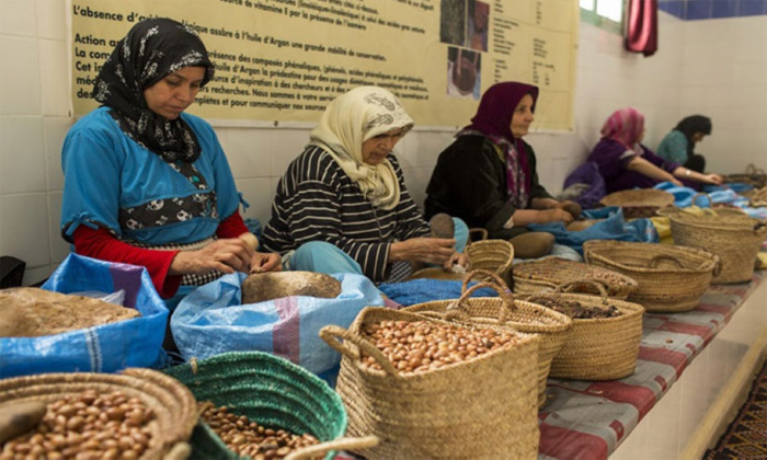 Economie sociale : " Il faut consolider la décentralisation du pouvoir dans les zones rurales pour une ascension économique" Economie sociale : " Il faut consolider la décentralisation du pouvoir dans les zones rurales pour une ascension économique"