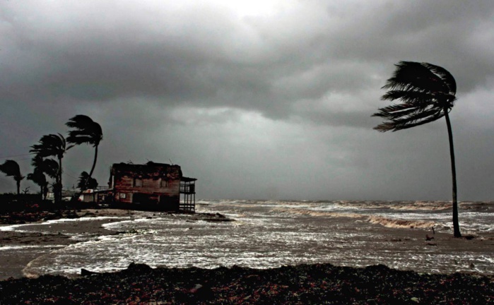 Photo: droits réservés. Photo: droits réservés.