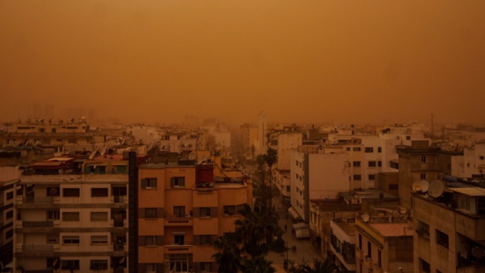 Casablanca Casablanca