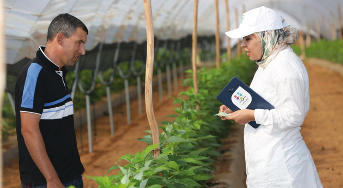 Campagne agricole 2023-2024: Le programme Al Moutmir élargit son offre de semis direct