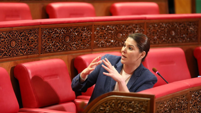 Développement des centres ruraux émergents : Fatima-Zahra Mansouri fait le point sur l’état d’avancement du programme Développement des centres ruraux émergents : Fatima-Zahra Mansouri fait le point sur l’état d’avancement du programme