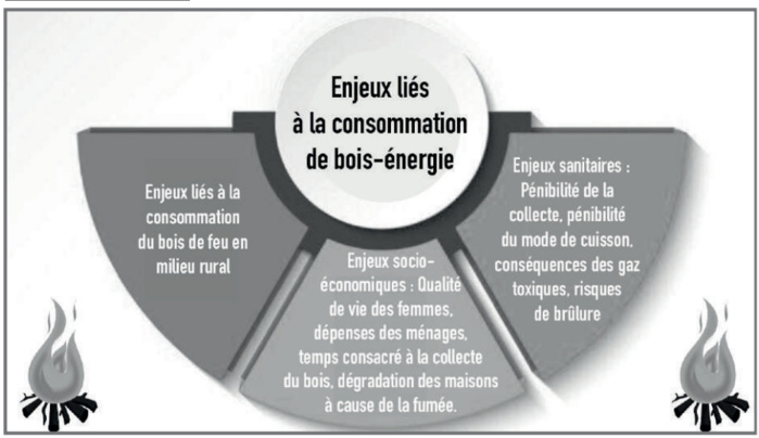 Industrie nationale du bois : Une filière stratégique confrontée au diktat du marché international Industrie nationale du bois : Une filière stratégique confrontée au diktat du marché international