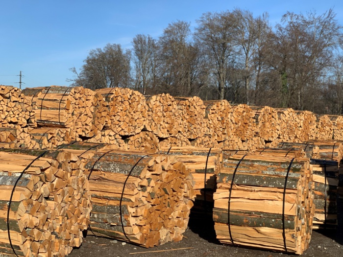Industrie nationale du bois : Une filière stratégique confrontée au diktat du marché international