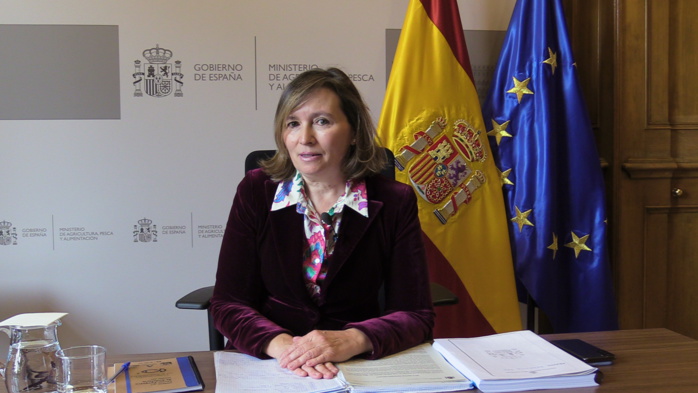 Accord de pèche Maroc -UE : Le renouvellement sera décidé en 2024 (responsable espagnole) Accord de pèche Maroc -UE : Le renouvellement sera décidé en 2024 (responsable espagnole)