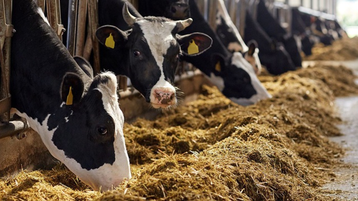 Rome : Le Maroc prend part au forum mondial sur l'alimentation animale