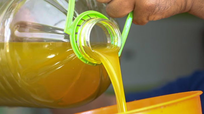 Reportage : Sur les traces de la meilleure huile d’olive marocaine