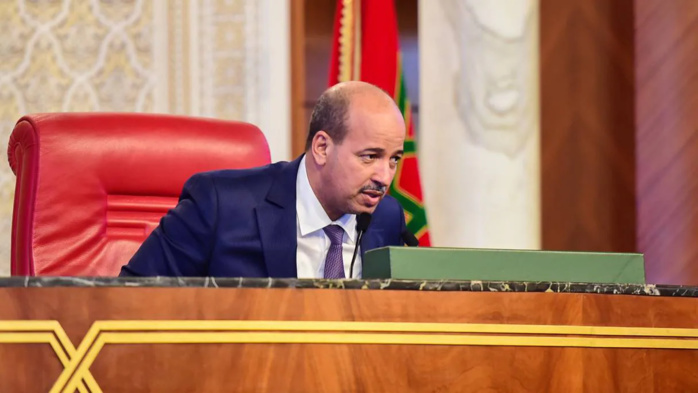 Mayara s'entretient avec le président de la commission des affaires étrangères et de la défense du Parlement irlandais