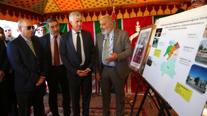 Berkane : la 7ème édition du forum de l’étudiant mise sur la Formation agricole Berkane : la 7ème édition du forum de l’étudiant mise sur la Formation agricole