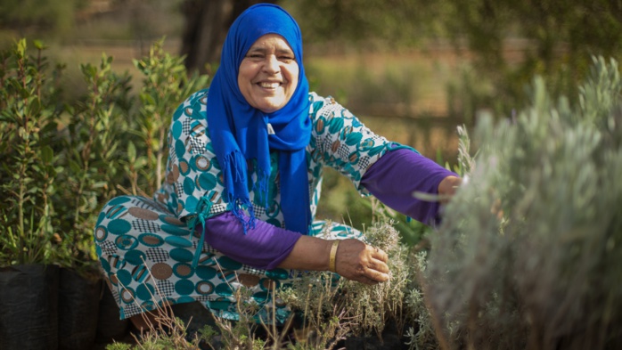 Terres soulaliyates : La valeur des transactions foncières en hausse Terres soulaliyates : La valeur des transactions foncières en hausse