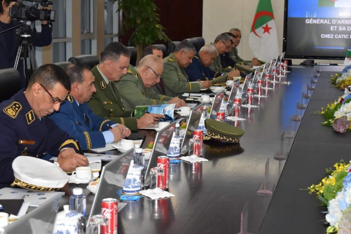 Algérie : Chengriha appelé à arbitrer entre le roublard et le couard Algérie : Chengriha appelé à arbitrer entre le roublard et le couard