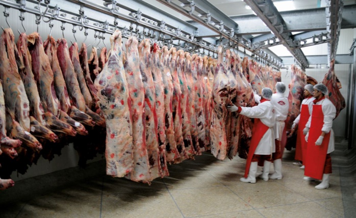 Viandes rouges : Une offre abondante, mais la volatilité des prix persiste Viandes rouges : Une offre abondante, mais la volatilité des prix persiste