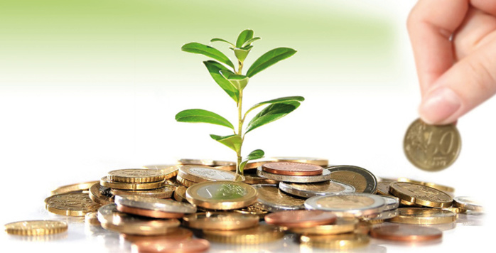 Vers la création d’une banque spécialisée dans la finance climatique Vers la création d’une banque spécialisée dans la finance climatique