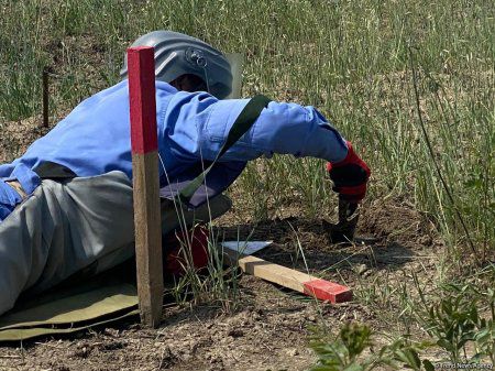 Pendant la période d'occupation, l'Arménie a posé plus d'un million de mines sur le territoire de l'Azerbaïdjan !